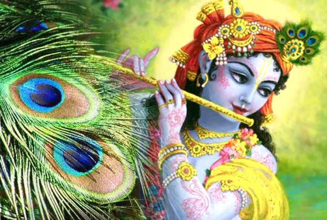 मोर पंख